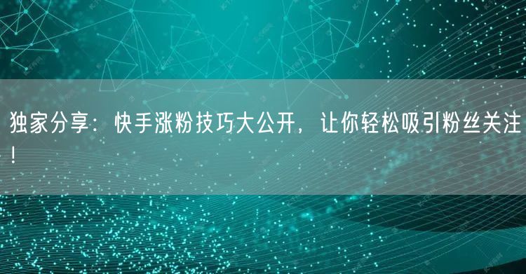 独家分享：快手涨粉技巧大公开，让你轻松吸