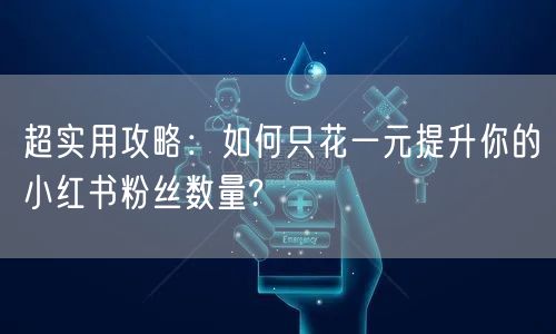 超实用攻略：如何只花一元提升你的小红书粉丝数量?