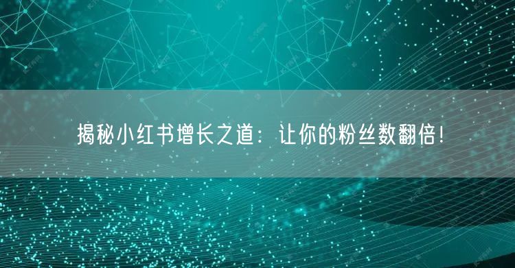 揭秘小红书增长之道：让你的粉丝数翻倍！