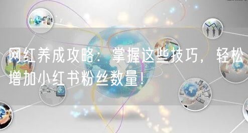 网红养成攻略：掌握这些技巧，轻松增加小红书粉丝数量！
