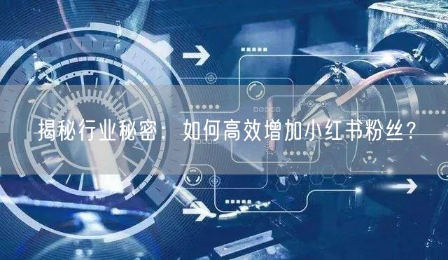 揭秘行业秘密：如何高效增加小红书粉丝？