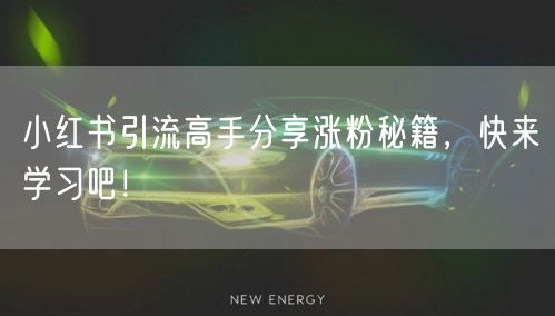 小红书引流高手分享涨粉秘籍，快来学习吧！