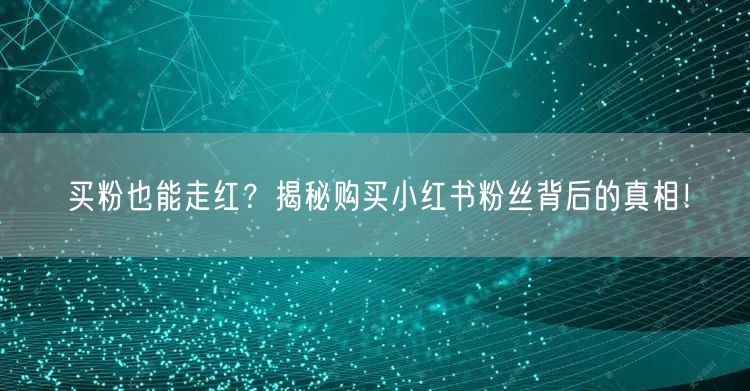 买粉也能走红？揭秘购买小红书粉丝背后的真相！