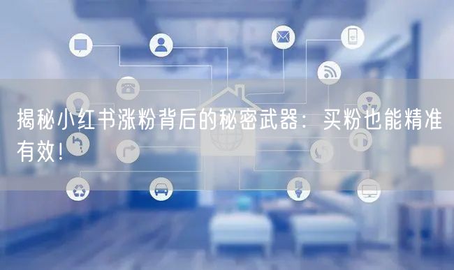 揭秘小红书涨粉背后的秘密武器：买粉也能精准有效！