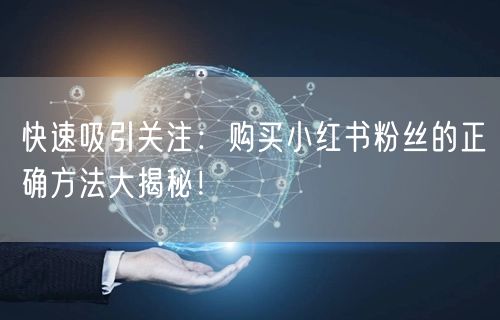 快速吸引关注：购买小红书粉丝的正确方法大揭秘！