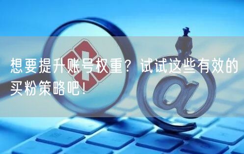 想要提升账号权重？试试这些有效的买粉策略吧！