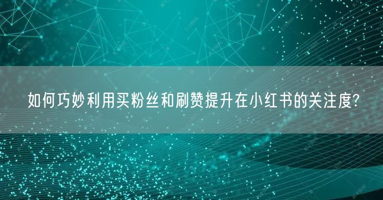 如何巧妙利用买粉丝和刷赞提升在小红书的关