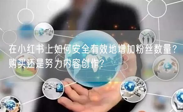 在小红书上如何安全有效地增加粉丝数量？购买还是努力内容创作？
