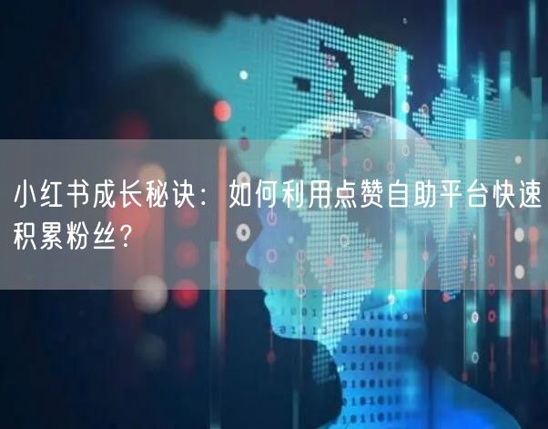 小红书成长秘诀：如何利用点赞自助平台快速积累粉丝？
