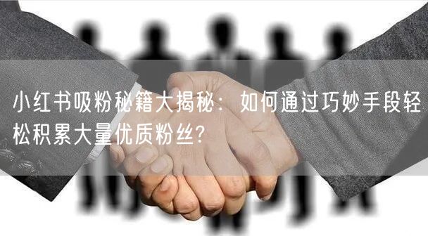小红书吸粉秘籍大揭秘：如何通过巧妙手段轻松积累大量优质粉丝?