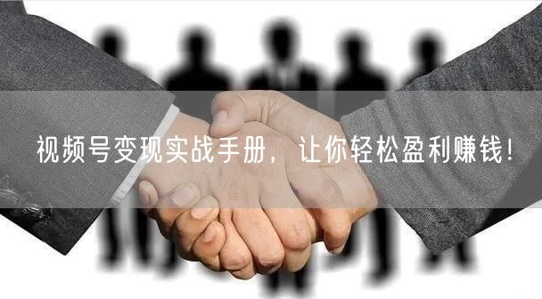 视频号变现实战手册，让你轻松盈利赚钱！