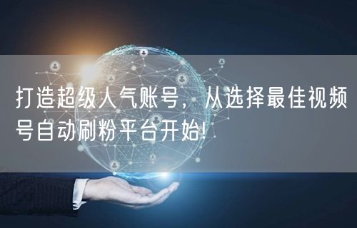 打造超级人气账号，从选择最佳视频号自动刷