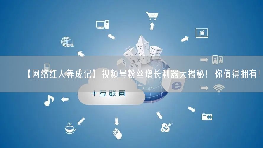 【网络红人养成记】视频号粉丝增长利器大揭秘！你值得拥有！