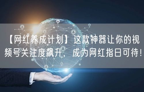 【网红养成计划】这款神器让你的视频号关注度飙升，成为网红指日