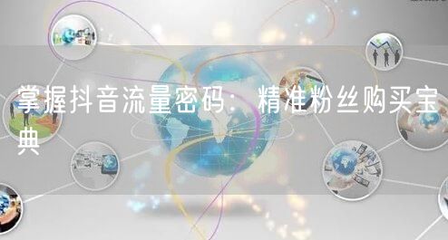 掌握抖音流量密码：精准粉丝购买宝典
