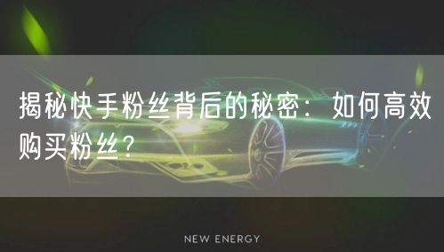 揭秘快手粉丝背后的秘密：如何高效购买粉丝？