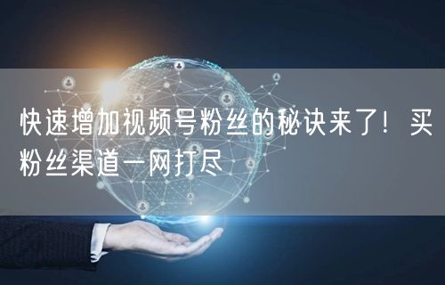 快速增加视频号粉丝的秘诀来了！买粉丝渠道一网打尽