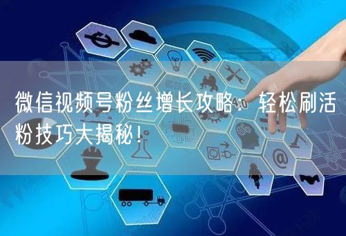 微信视频号粉丝增长攻略：轻松刷活粉技巧大揭秘！
