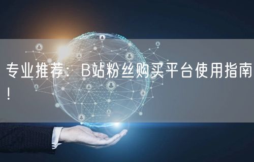 专业推荐：B站粉丝购买平台使用指南！