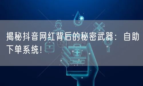 揭秘抖音网红背后的秘密武器：自助下单系统！