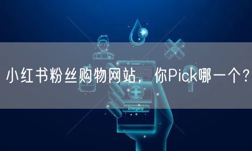 小红书粉丝购物网站，你Pick哪一个？