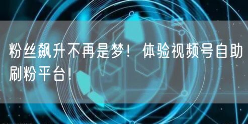 粉丝飙升不再是梦！体验视频号自助刷粉平台！