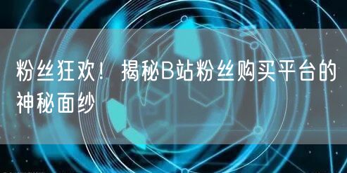 粉丝狂欢！揭秘B站粉丝购买平台的神秘面纱