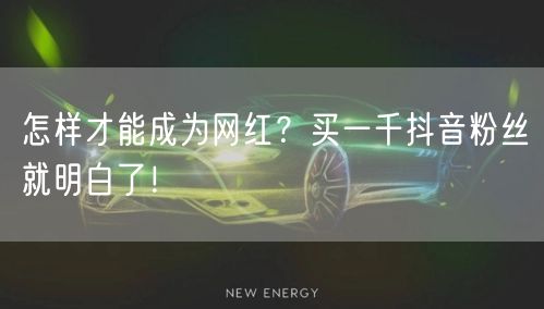 怎样才能成为网红？买一千抖音粉丝就明白了！