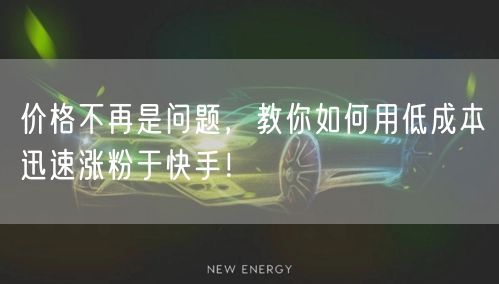 价格不再是问题，教你如何用低成本迅速涨粉于快手！