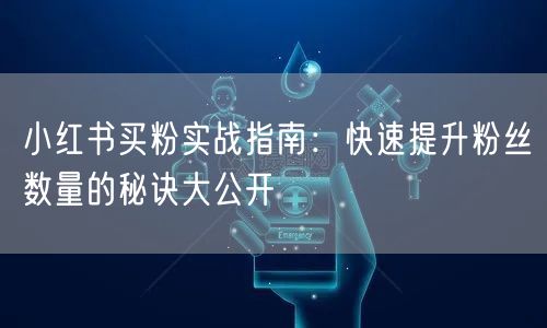 小红书买粉实战指南：快速提升粉丝数量的秘诀大公开