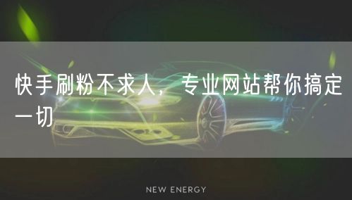 快手刷粉不求人，专业网站帮你搞定一切