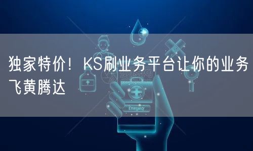 独家特价！KS刷业务平台让你的业务飞黄腾达