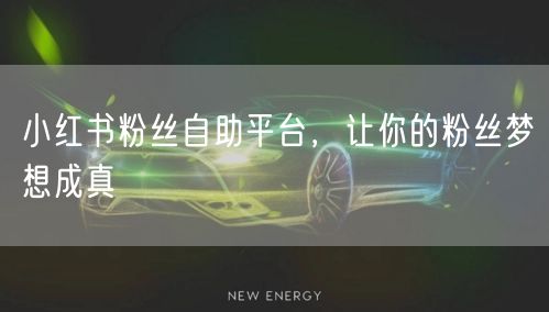 小红书粉丝自助平台，让你的粉丝梦想成真