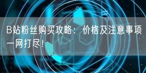 B站粉丝购买攻略：价格及注意事项一网打尽！