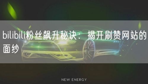 bilibili粉丝飙升秘诀：揭开刷赞网站的面纱