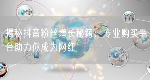 揭秘抖音粉丝增长秘籍：专业购买平台助力你成为网红
