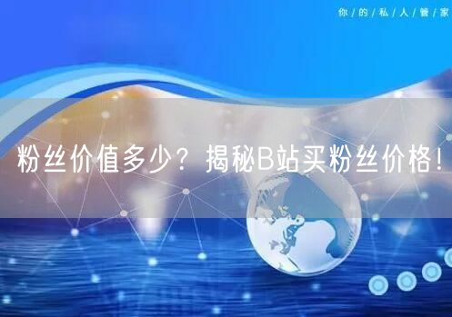 粉丝价值多少？揭秘B站买粉丝价格！
