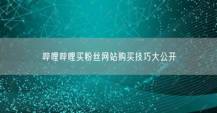 哔哩哔哩买粉丝网站购买技巧大公开