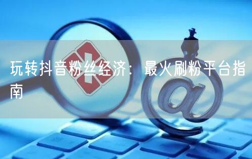 玩转抖音粉丝经济：最火刷粉平台指南