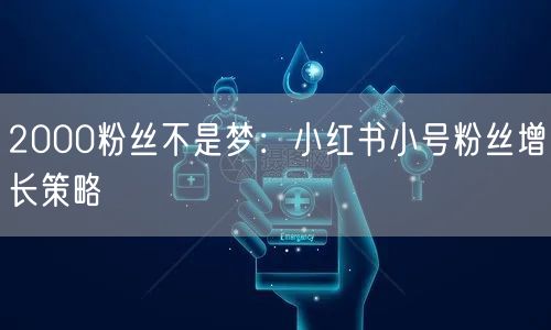 2000粉丝不是梦:小红书小号粉丝增长策略