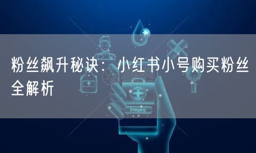 粉丝飙升秘诀:小红书小号购买粉丝全解析