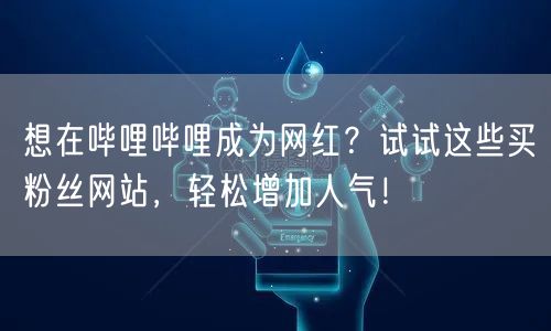 想在哔哩哔哩成为网红？试试这些买粉丝网站，轻松增加人气！