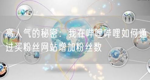 高人气的秘密：我在哔哩哔哩如何通过买粉丝网站增加粉丝数