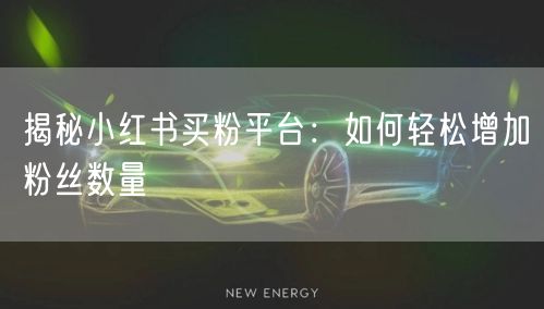 揭秘小红书买粉平台：如何轻松增加粉丝数量