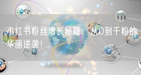 小红书粉丝增长秘籍：从0到千粉的华丽逆袭！