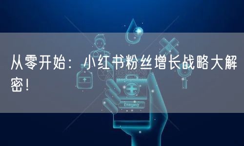 从零开始：小红书粉丝增长战略大解密！