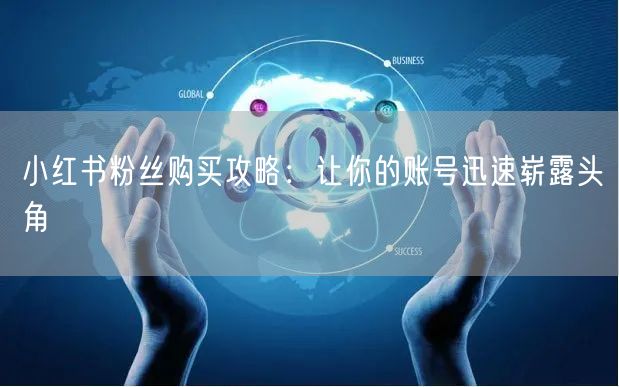 小红书粉丝购买攻略：让你的账号迅速崭露头角