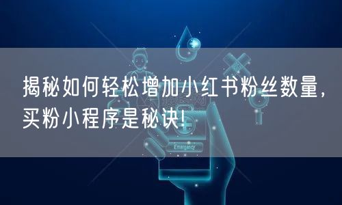 揭秘如何轻松增加小红书粉丝数量，买粉小程序是秘诀!