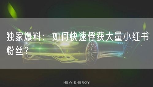 独家爆料：如何快速俘获大量小红书粉丝？