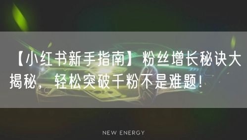 【小红书新手指南】粉丝增长秘诀大揭秘，轻松突破千粉不是难题！